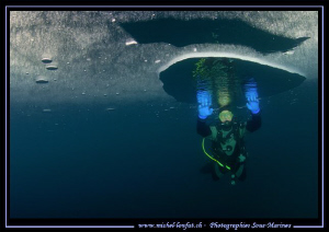 Today's dive - under the Ice... The viz was just amazing.... by Michel Lonfat 
